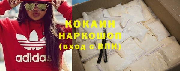 шишки Лабытнанги