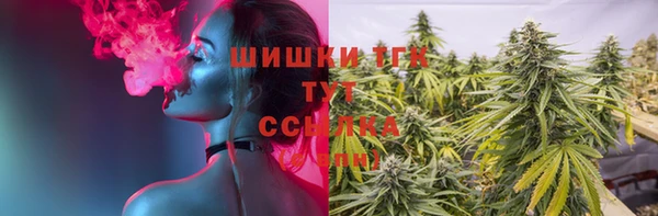 шишки Лабытнанги