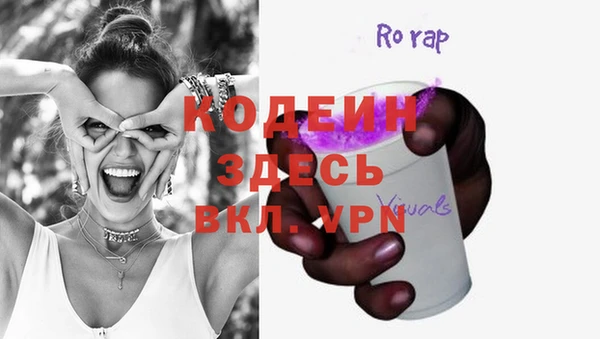 шишки Лабытнанги