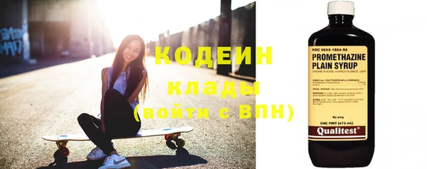 шишки Лабытнанги