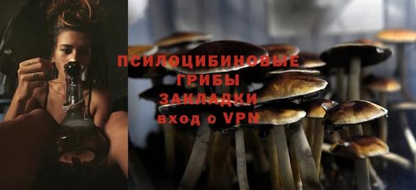 первитин Лагань