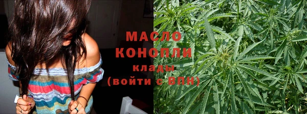 шишки Лабытнанги