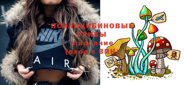 первитин Лагань