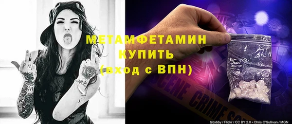 шишки Лабытнанги